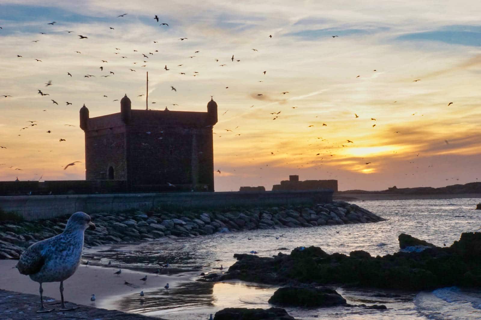 essaouira morocco